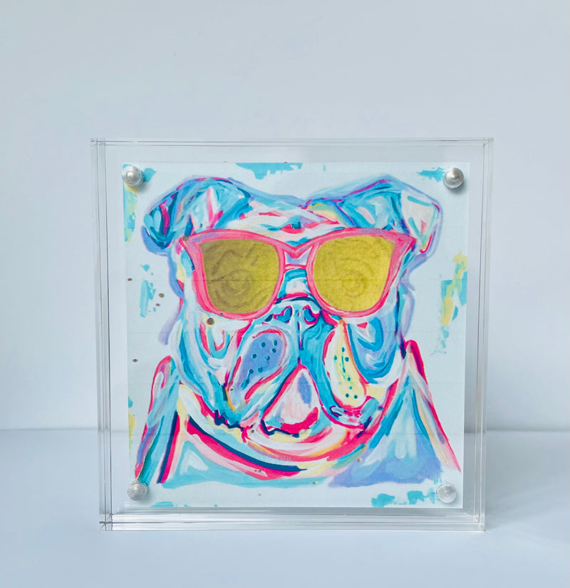 Preppy Bulldog in Acrylic Frame